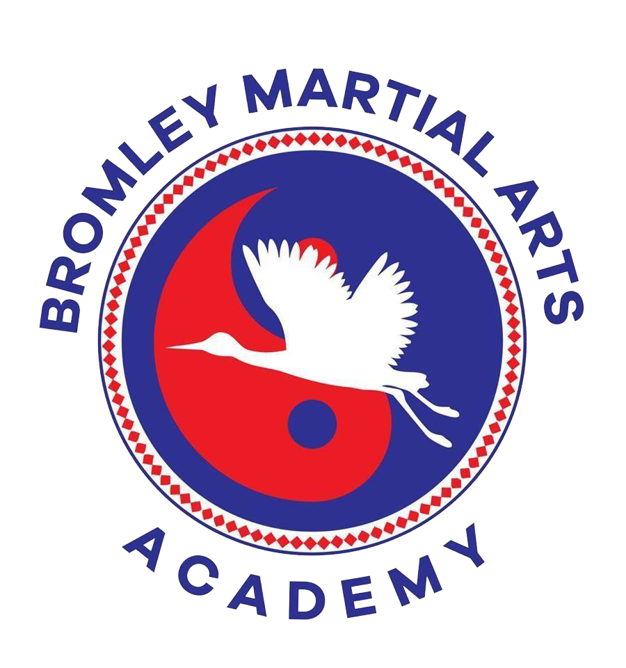 Bromley Martial Arts Academy - Martial Arts Classes in London